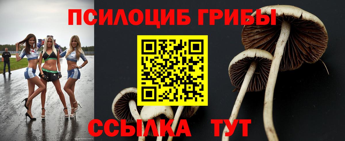 Галлюциногенные грибы мухоморы  Вход с VPN  Набережные Челны  Галлюциногенные грибы MAGIC MUSHROOMS 